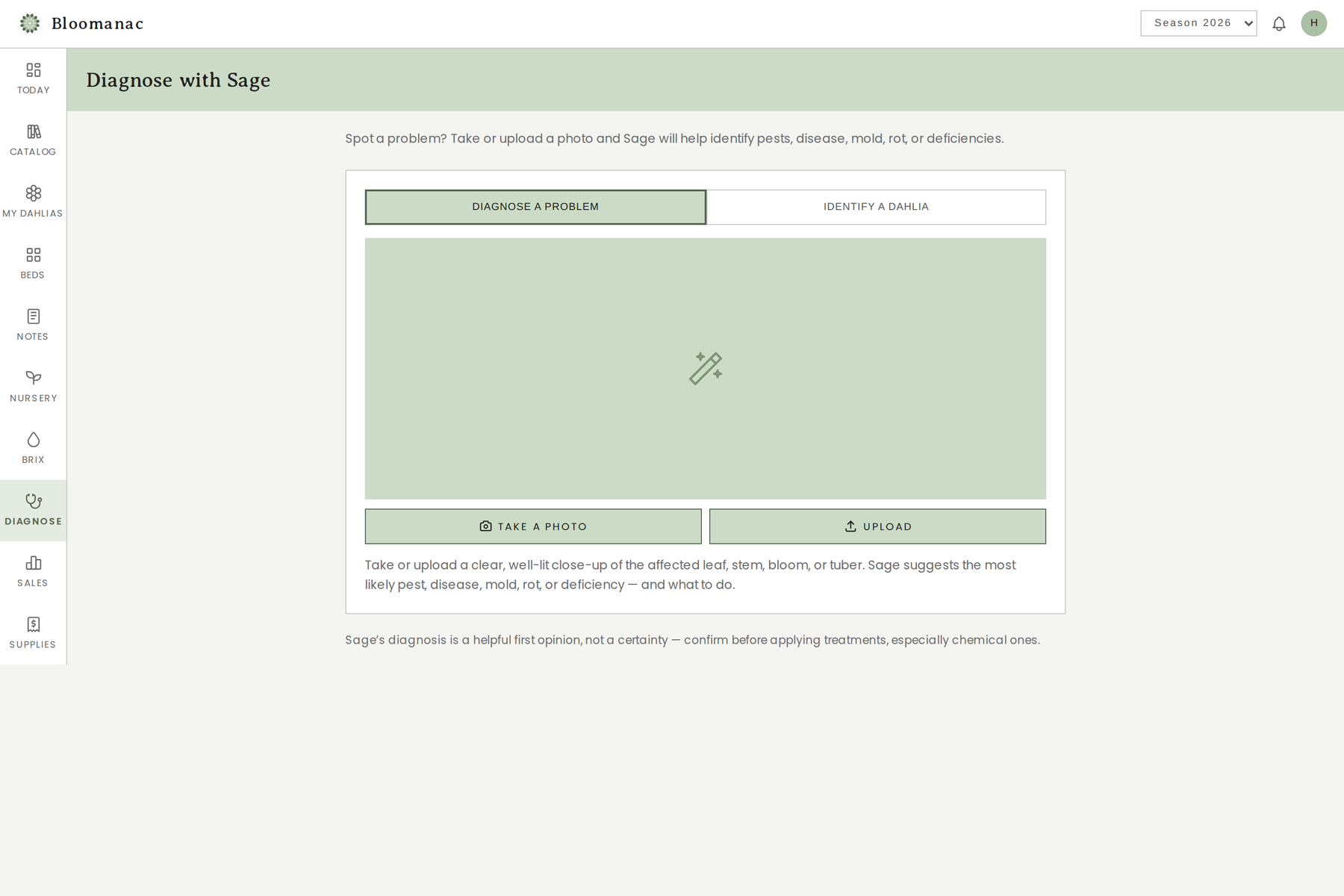 Diagnose with Sage — take or upload a photo of a plant problem