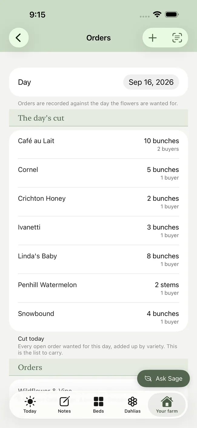 The day&rsquo;s cut on iPhone &mdash; every open order added up by variety: Caf&eacute; au Lait 10 bunches across 2 buyers, Cornel 5 bunches, Linda&rsquo;s Baby 8 bunches, with the orders they came from listed underneath