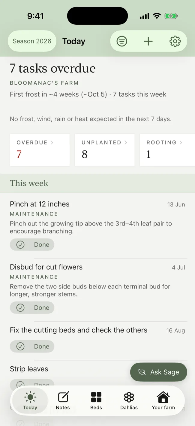 This week's tasks as cards, with overdue, unplanted and rooting counts across the top