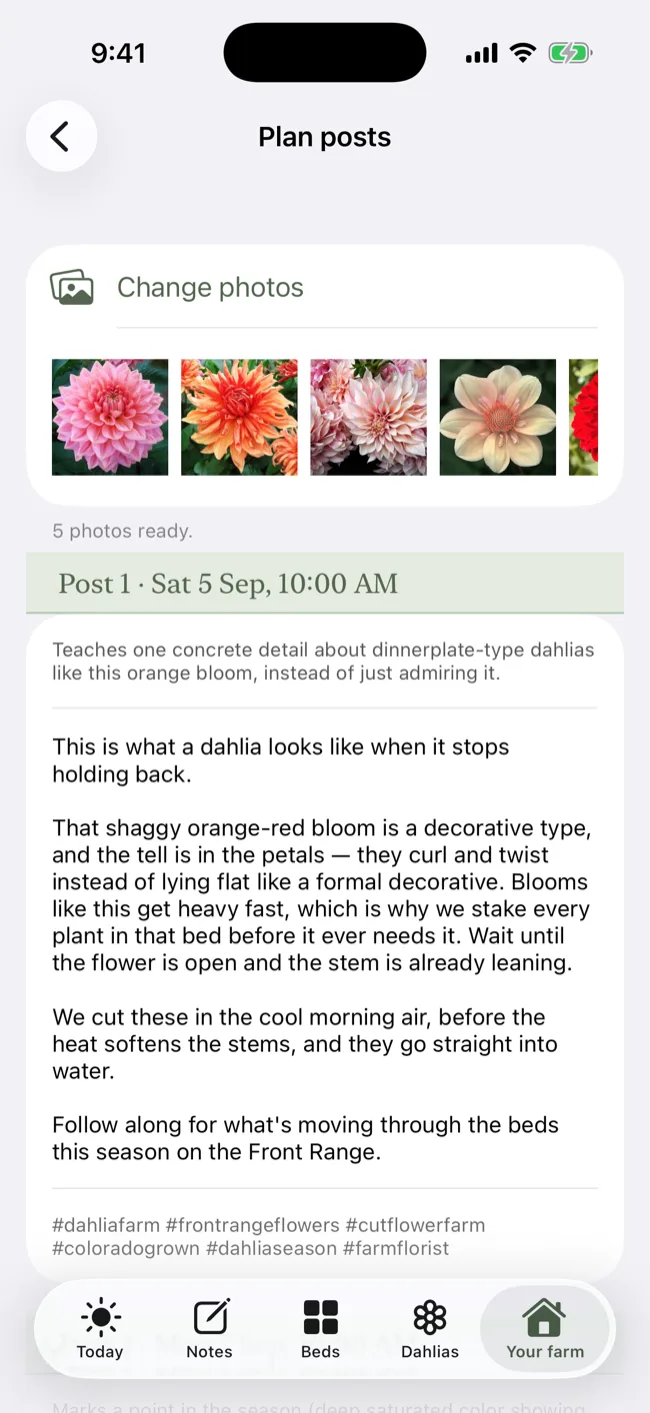 Bloomanac planning a week of posts — five photos across the top, then Post 1 scheduled for Saturday at 10am with its caption written in the farm's own voice